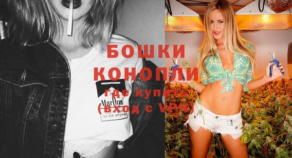 амф Богородицк