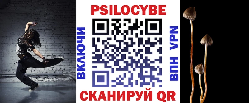 Галлюциногенные грибы Psilocybine cubensis  blacksprut рабочий сайт  Гулькевичи 