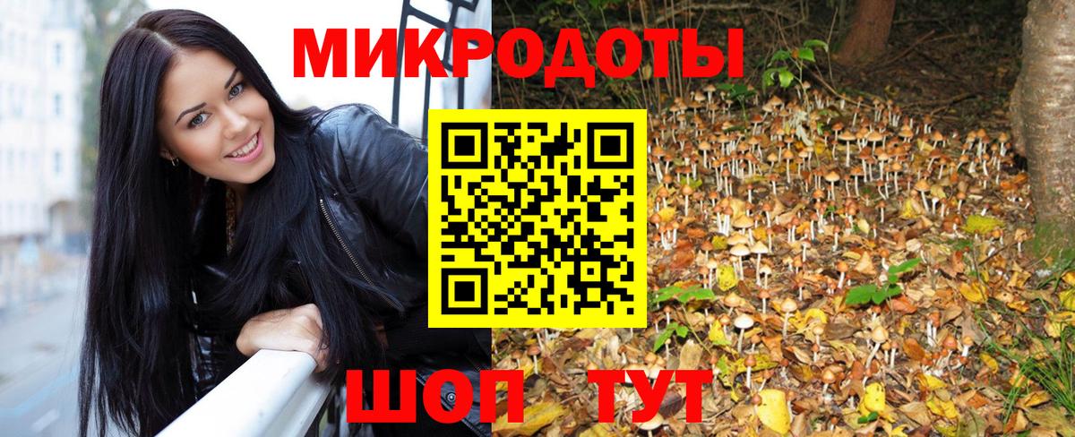 Псилоцибиновые грибы MAGIC MUSHROOMS  Вход с VPN  Гулькевичи 