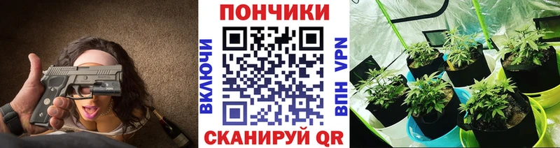 blacksprut   где купить   Гулькевичи  Бошки Шишки семена 